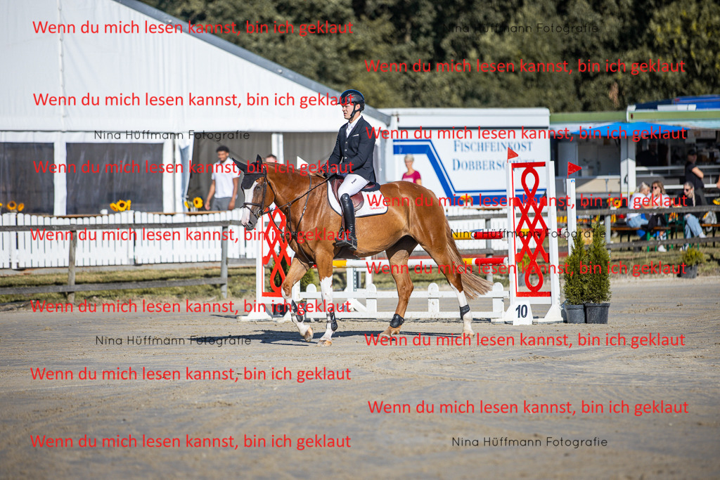 BK1A5977 | Turnierbilder Turnierfotos Nina Hüffmann Turnierfotografie Pferdefotografie Tierzeichnung Haustierzeichnung Pferdezeichnung Hundezeichnung Videograf  - Realisiert mit Pictrs.com