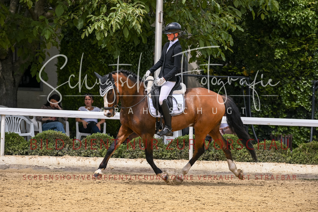 Schugtsche-Aluta25-55.Dressurreiterprf.L1Tr-133 | Schugtsche Fotografie - Realisiert mit Pictrs.com