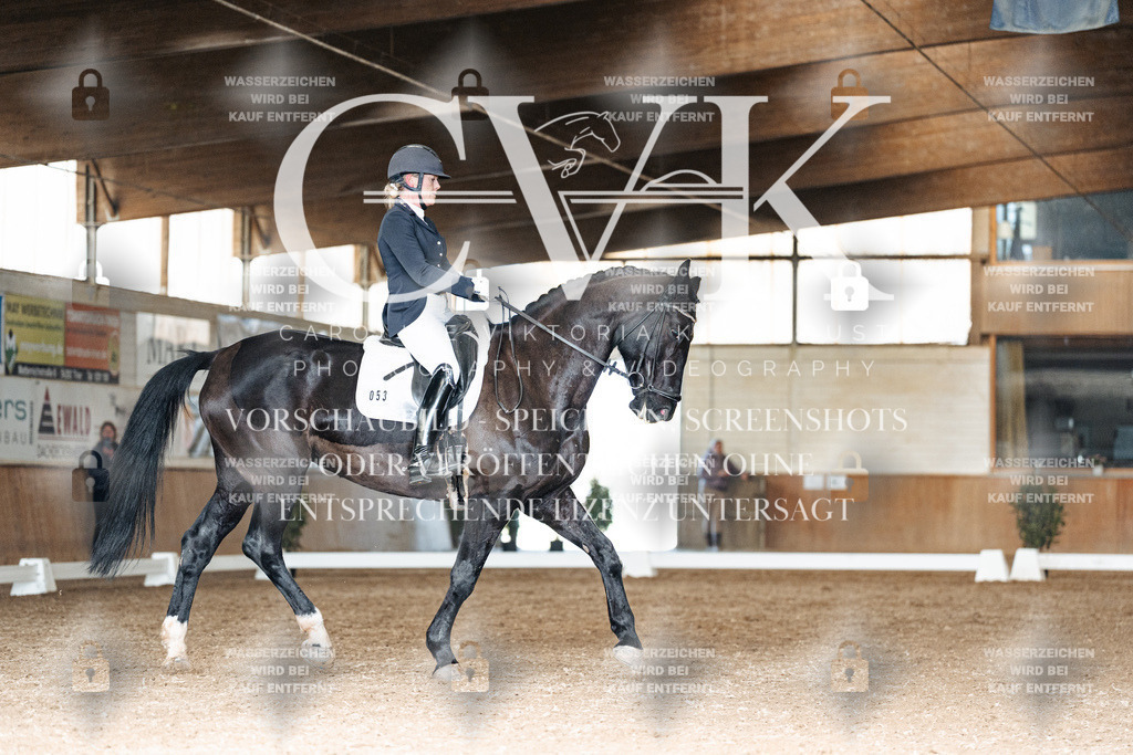 CK902185 | Turnierfotografie Pferdefotografie Trier Rheinland-Pfalz Pferdesport Reitsport Tierfotografie Sportfotografie Pferdevideo Pferdevideografie Equestrianvideography equestrianphotography  - Realisiert mit Pictrs.com