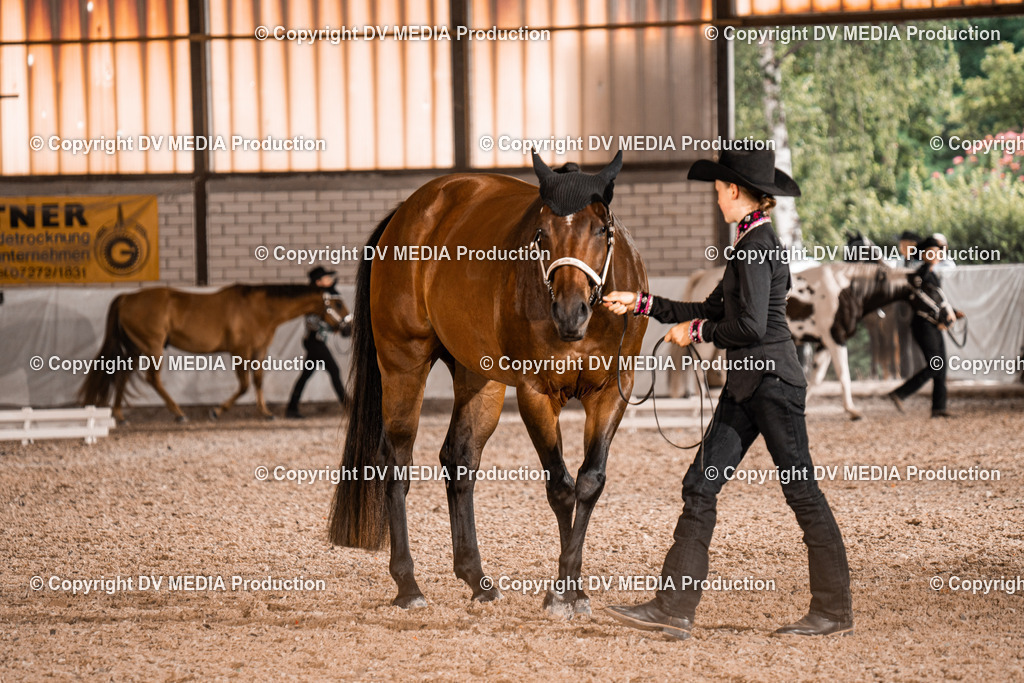 ZH200109 | dv-media-shop - Realisiert mit Pictrs.com