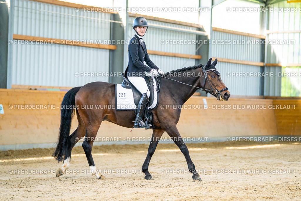 DSC06160 | Pferdegrafie