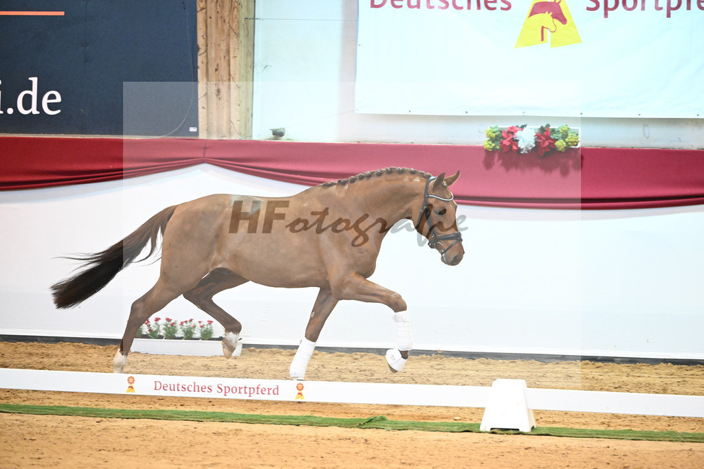 Kat-Nr. 25 Dynamic Dream x Benetton Dream_Bodstangen_43232015 | hf-fotografie - Realisiert mit Pictrs.com