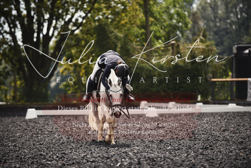 DSC_3923 | Pferde- und Turnierfotografie in Westsachsen. Pferdeportraits, Auftragszeichnungen und intuitive Kunst.