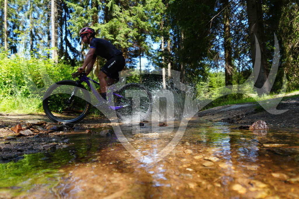 FC604886 | Fotogalerie der Treibjagd im Dunkelwald - Dein MTB Etappenrennen im Erzgebirge - Realisiert mit Pictrs.com