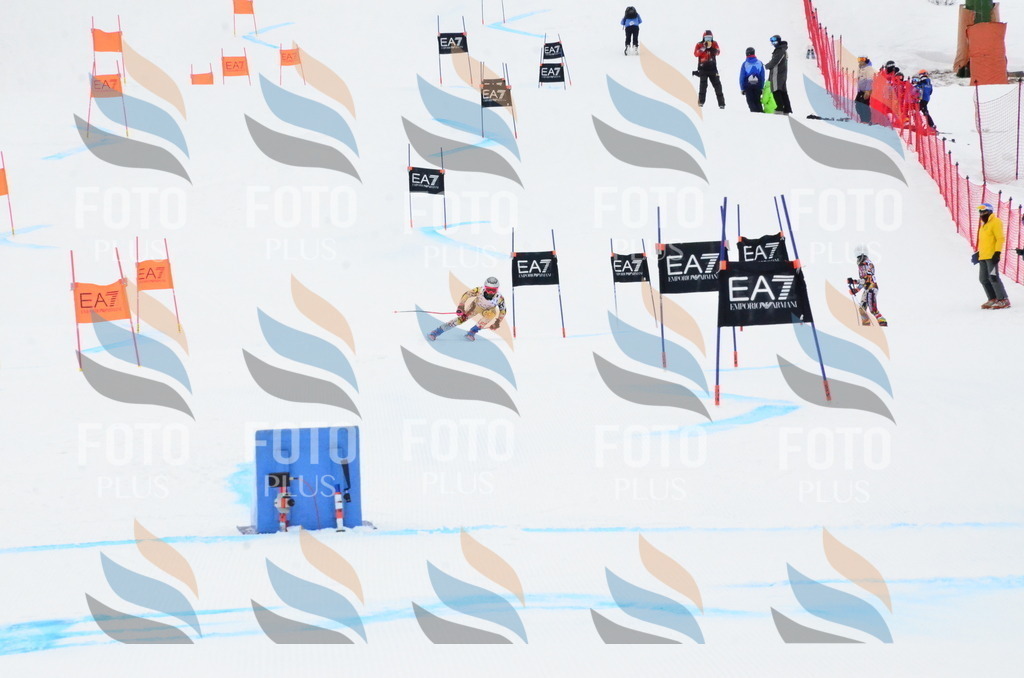 _ELE3540 | holidayphoto