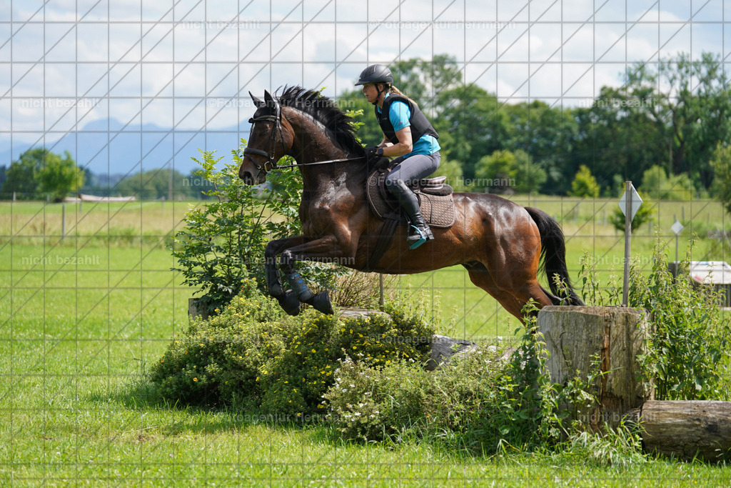 20240622-FAH07615 | Turnierfotografen Bayern, Reitsportbilder aus dem Geländekurs mit Felix Etzel auf dem Gut Waitzacker 2024