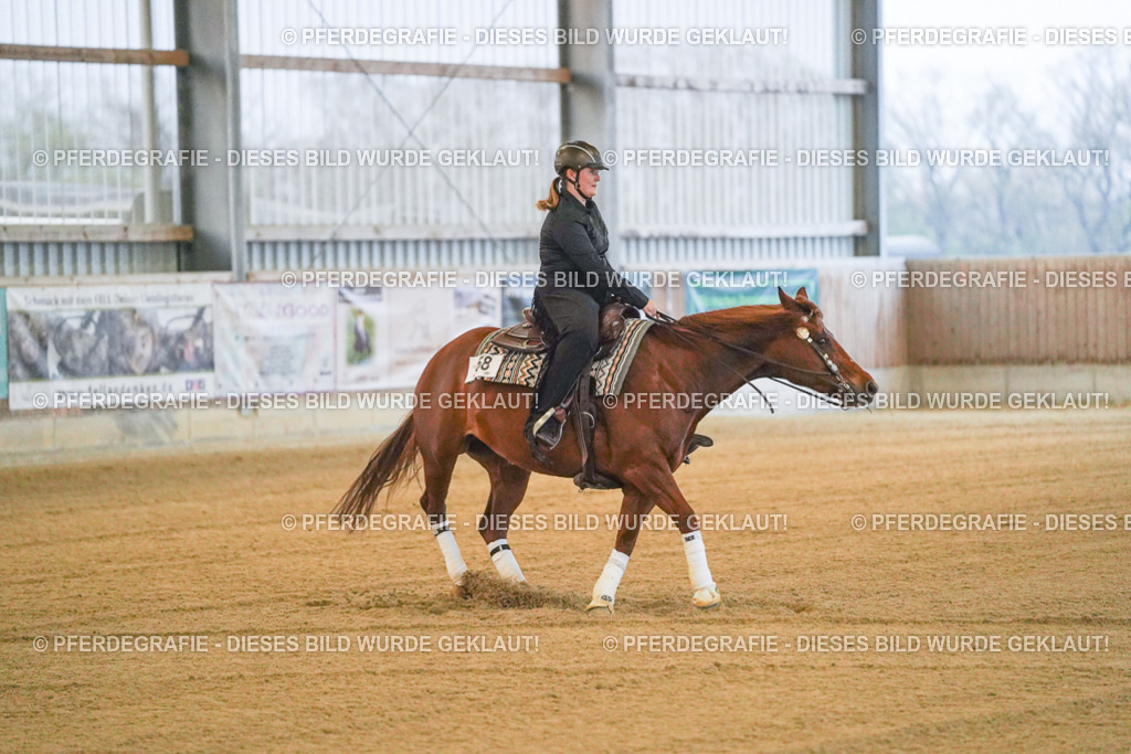 DSC09219 | Pferdegrafie