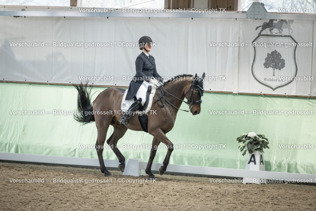 _D5A6281 | Emotionale Pferde- & People-Fotografie rund um Heidelberg, Leimen & Umgebung. Natürliche Fotos von Pferd, Mensch & Familie. Jetzt Termin sichern!