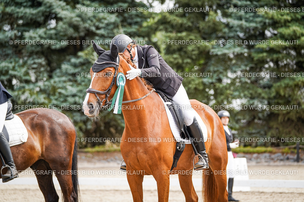 DSC02357 | Pferdegrafie