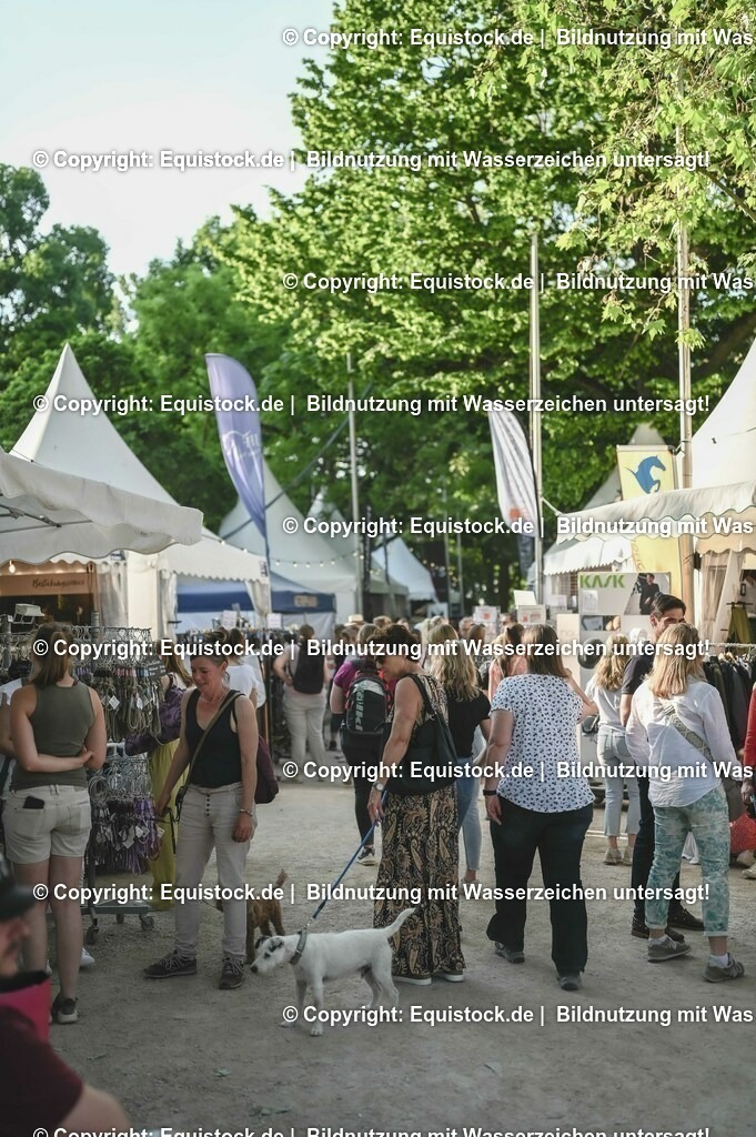 D78_3758 | equistock