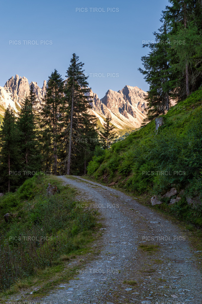 DSC_0353-Verbessert-RR-Bearbeitet | Tirolpics