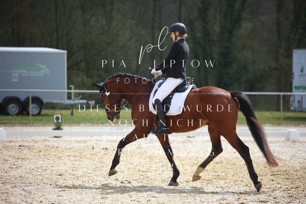 IMGT3635 | pl-fotografie