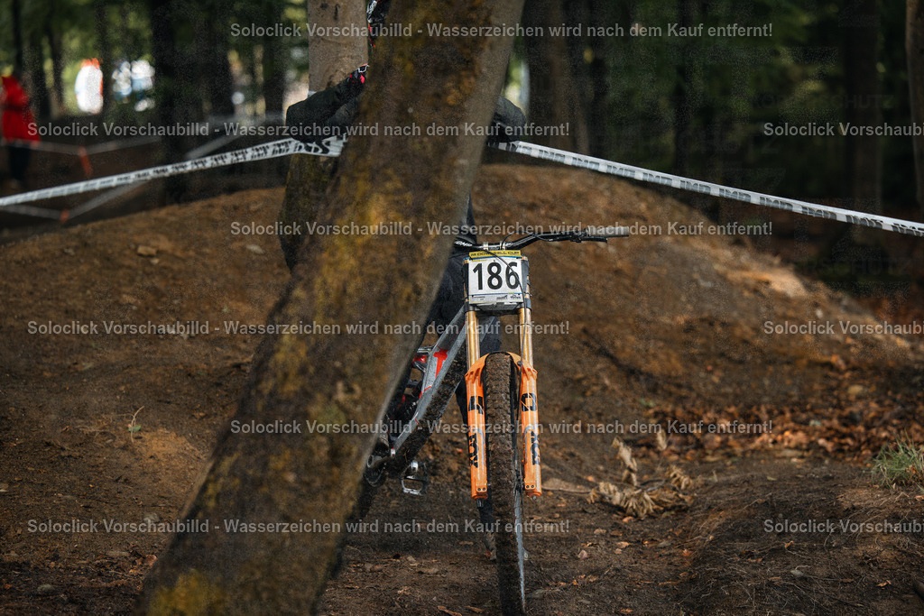 Mountainbiker im Wald | Hier ist eine detaillierte Analyse des Bildes, aufgeteilt in verschiedene Kategorien: - Realisiert mit Pictrs.com
