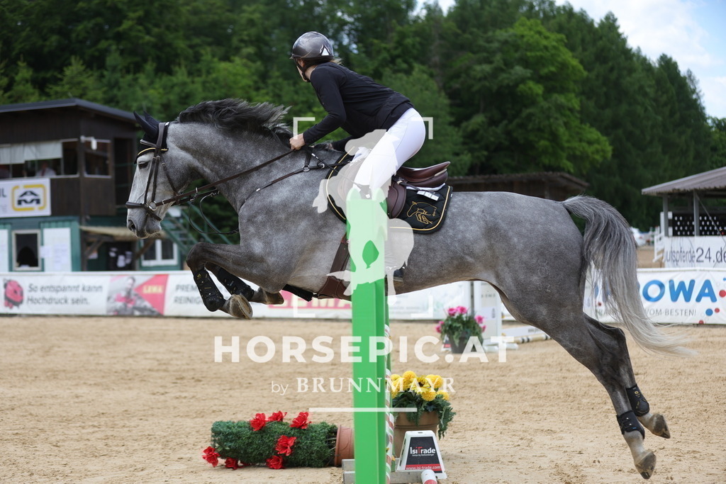 0P6A1569 | Willkommen bei Brunnmayr - Design & Fotografie – Ihrem Spezialisten für Reitturniere und Pferdeveranstaltungen in Oberösterreich, Salzburg und Bayern! Seit über 17 Jahren sind wir leidenschaftlich dabei.