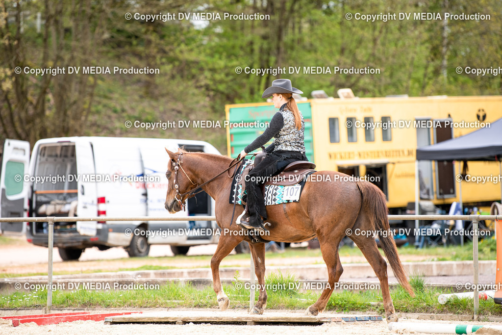 Heiligenwald Tag 1-573 | dv-media-shop - Realisiert mit Pictrs.com