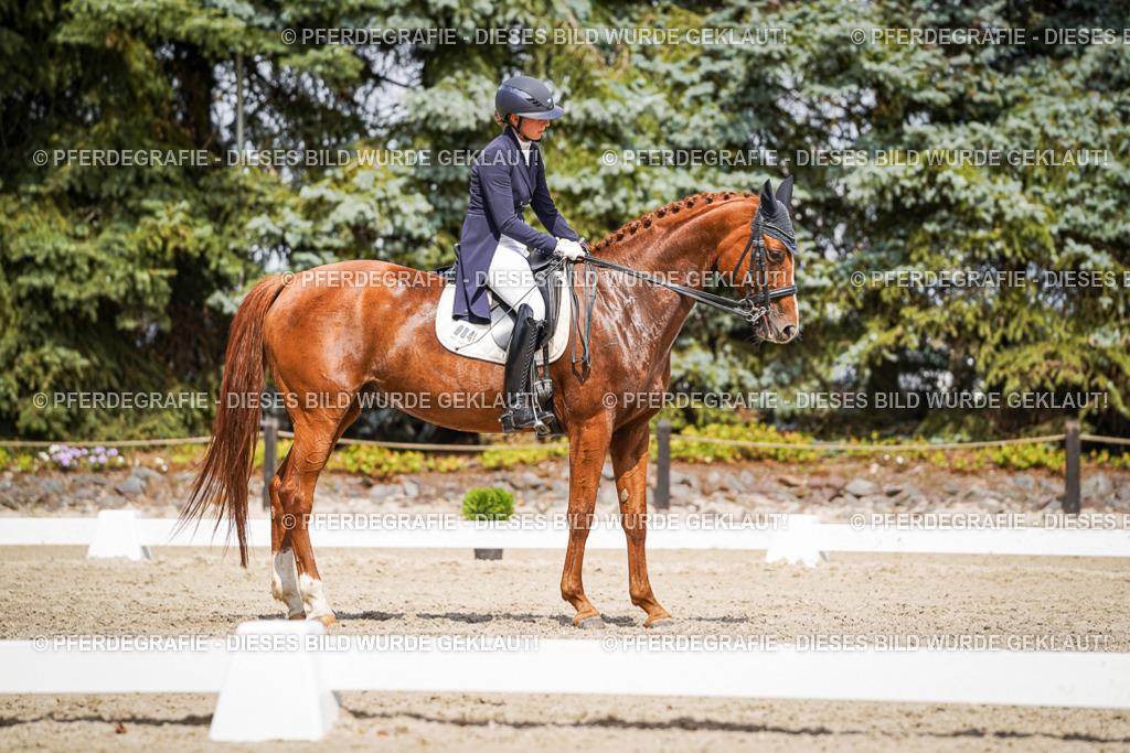 DSC06388 | Pferdegrafie