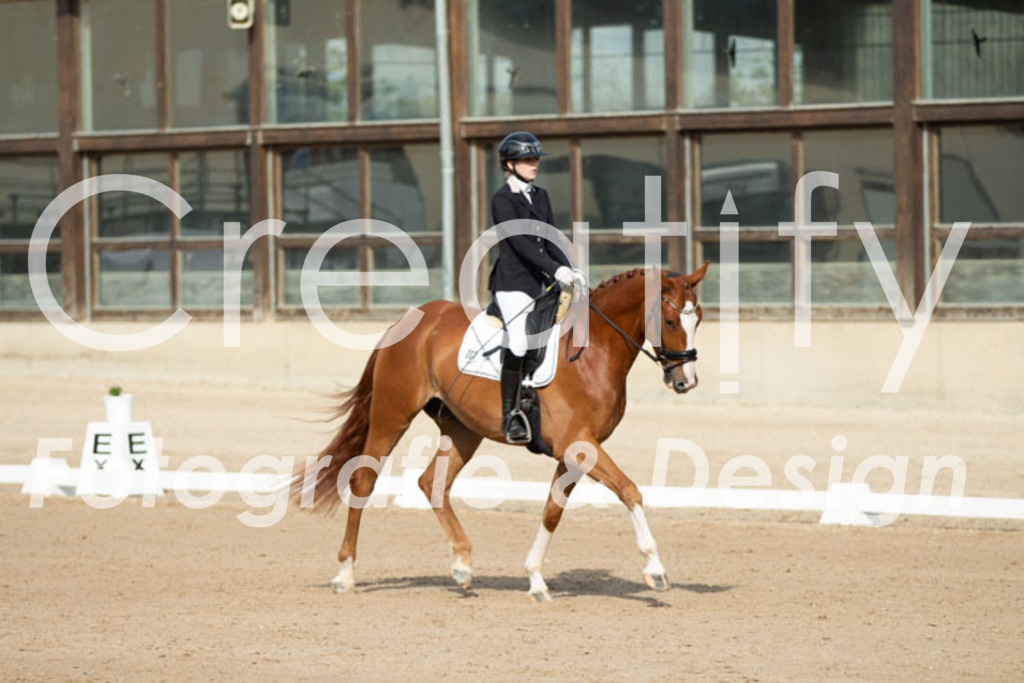 IMG_0611 | Creatify Fotografie