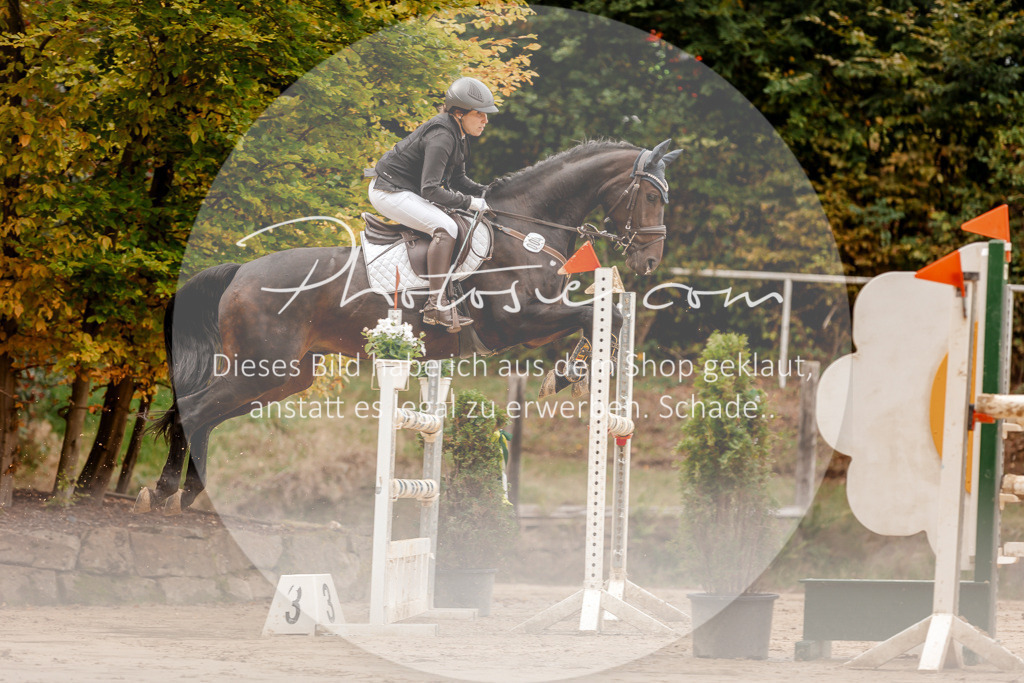 3I6A8051 | Stimmungsvolle Portraits und Reitsportfotografie im Ruhrgebiet und im Münsterland.

Pferdefotografie, Hundefotografie, Tierfotografie, Reportagen, Portraits von Tier und Mensch, Turnierfotografie in Bochum, Recklinghausen, Marl, Haltern am See, Dülmen.. - Realisiert mit Pictrs.com
