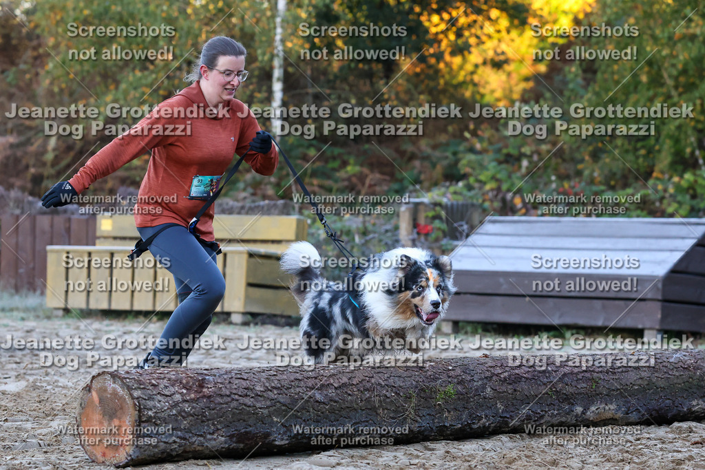 Dog Paparazzi - Strongdog 10-25-264 | Dog Paparazzi Jeanette Grottendiek Fotografie & Videografie - Realisiert mit Pictrs.com
