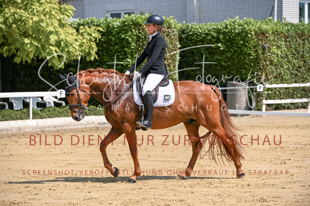 Schugtsche-Aluta25-53.Amat.Dressurprf.A2-76 | Schugtsche Fotografie - Realisiert mit Pictrs.com