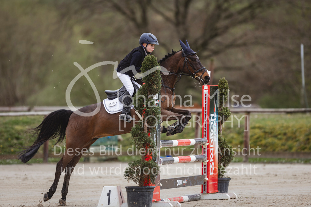 240330_Fruehlingsfest_Stil-A2-1-613 | Deine schönsten Turniermomente als professionelle Fotos! Entdecke hochwertige Pferdesport-Fotografie im Online-Shop. Jetzt Fotos finden & bestellen!