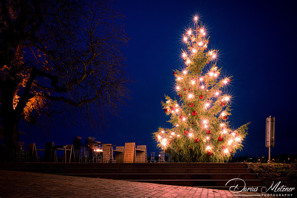 Der Weihnachtsbaum in Mainz-Kastel | Der Weihnachtsbaum in Mainz-Kastel