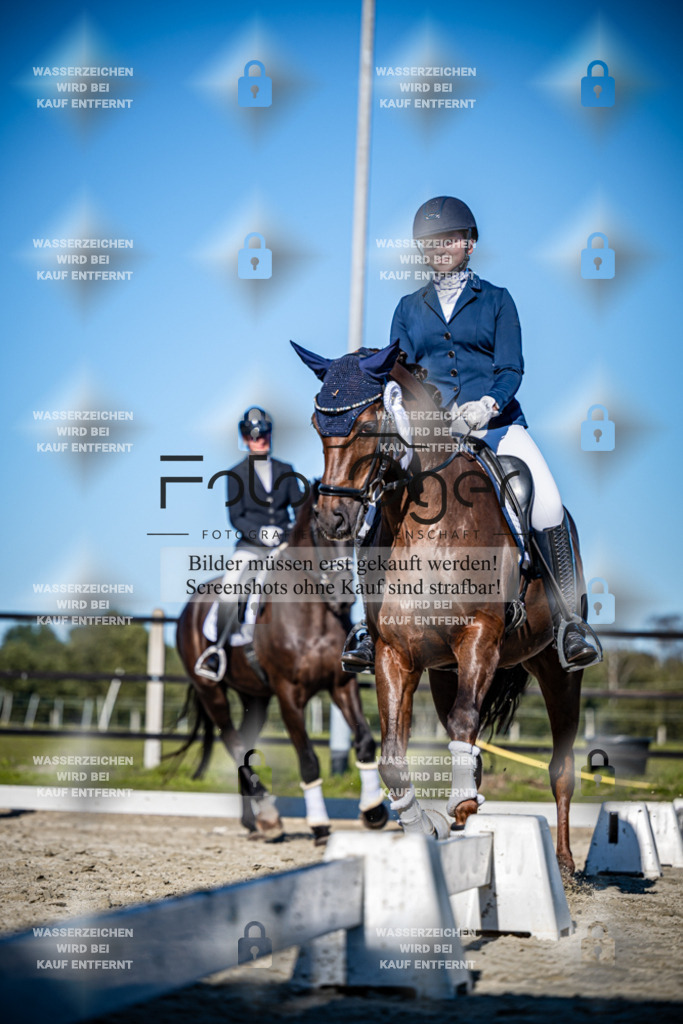 2026-09-Lohne-11-0033 | Entdecke hochwertige Reitturnierfotos von Foto Oger. Professionell, emotional und authentisch – jetzt Lieblingsmomente im Shop bestellen.Deutschlandweite Turnierfotografie. - Realisiert mit Pictrs.com