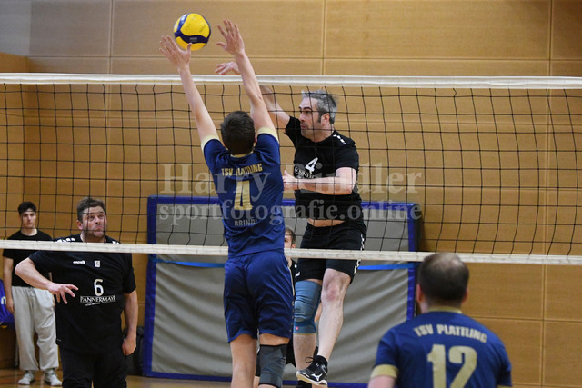 TSV Plattling Volleyball - Isarvolleys | TSV Plattling Volleyball - Isarvolleys - Realisiert mit Pictrs.com