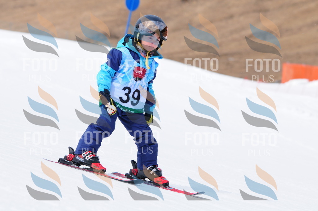 A3523 | holidayphoto