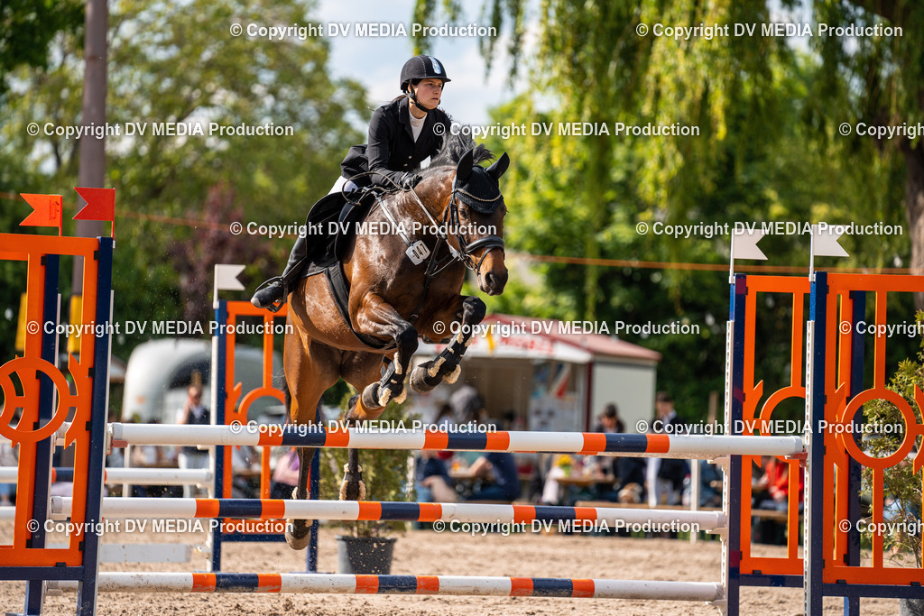 Eppelheim Tag 2-582 | dv-media-shop - Realisiert mit Pictrs.com