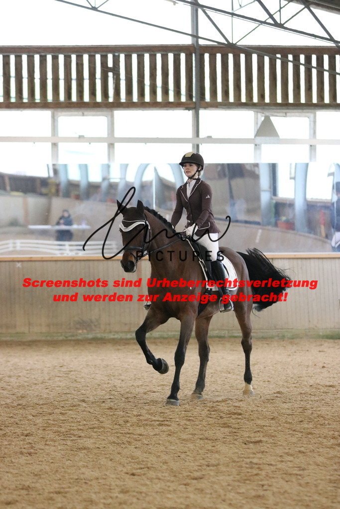 IMG_6732 | lmwpictures - Realisiert mit Pictrs.com