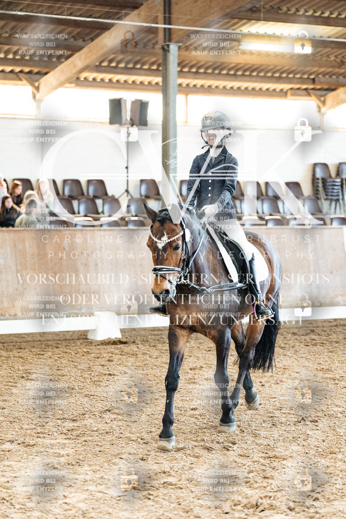 CK900354 | Turnierfotografie Pferdefotografie Trier Rheinland-Pfalz Pferdesport Reitsport Tierfotografie Sportfotografie Pferdevideo Pferdevideografie Equestrianvideography equestrianphotography  - Realisiert mit Pictrs.com