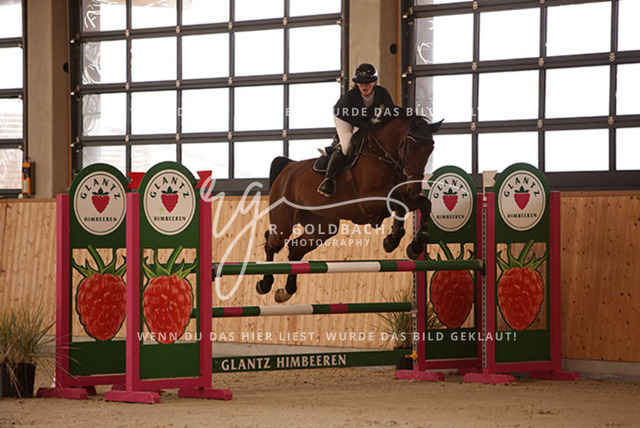 1J2A2274Lilli Plath_ Stakkato_s Diva_ Kn453_ Hohen Wieschendorf_ Glantz | Foto- und Videografie für alles rund ums Pferd. Hochwertige Bilder und Videos vom Spring- und Dressurreiten, Voltigieren & mehr. Jetzt aktuelle Veranstaltungen und Preise im Shop ansehen. - Realisiert mit Pictrs.com