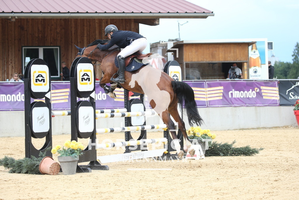 DL2Q2674 | Willkommen bei Brunnmayr - Design & Fotografie – Ihrem Spezialisten für Reitturniere und Pferdeveranstaltungen in Oberösterreich, Salzburg und Bayern! Seit über 17 Jahren sind wir leidenschaftlich dabei.