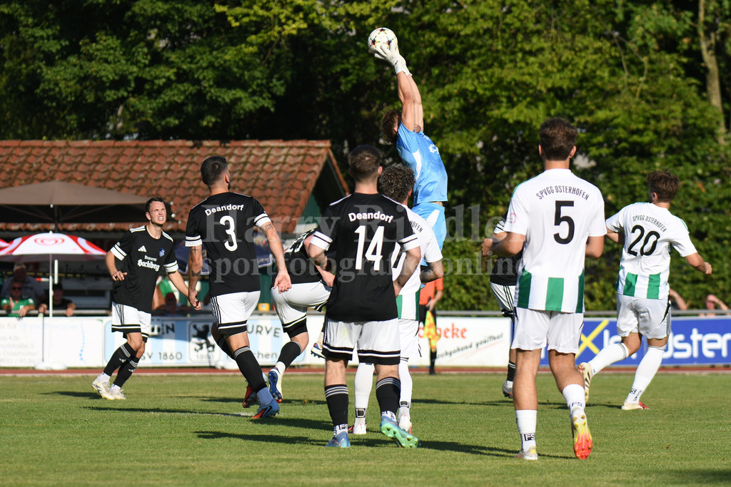 SpVgg Osterhofen : TSV-DJK Oberdiendorf | SpVgg Osterhofen - Realisiert mit Pictrs.com