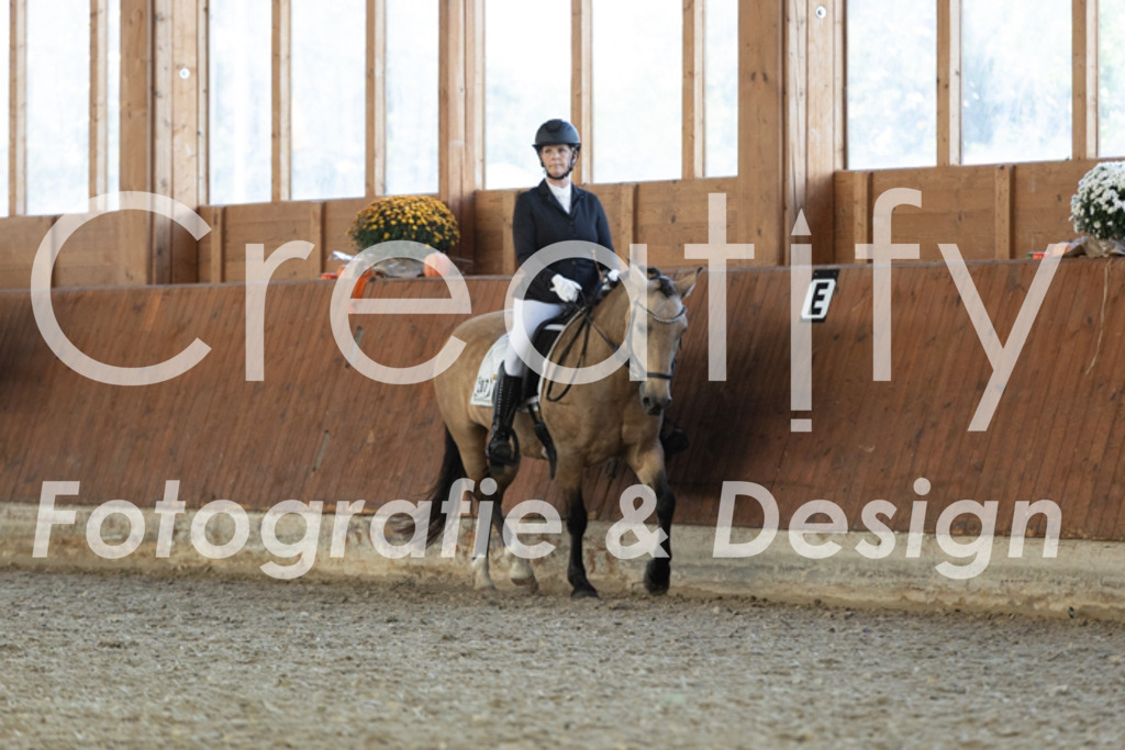 IMG_5494 | Creatify Fotografie