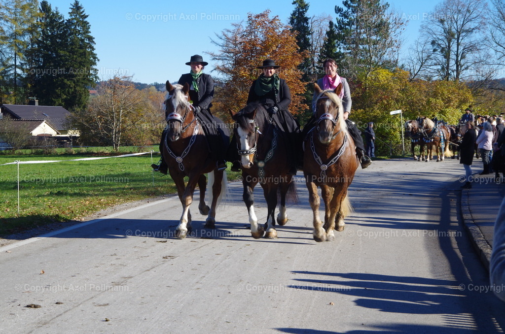 IMGP8202 | fotografiert von Axel PollmannLeonhardi Wallfahrt Benediktbeuern und Murnau, Fronleichnam, Fasching, Landschaft im Loisachtal und Benediktbeuern  - Realisiert mit Pictrs.com