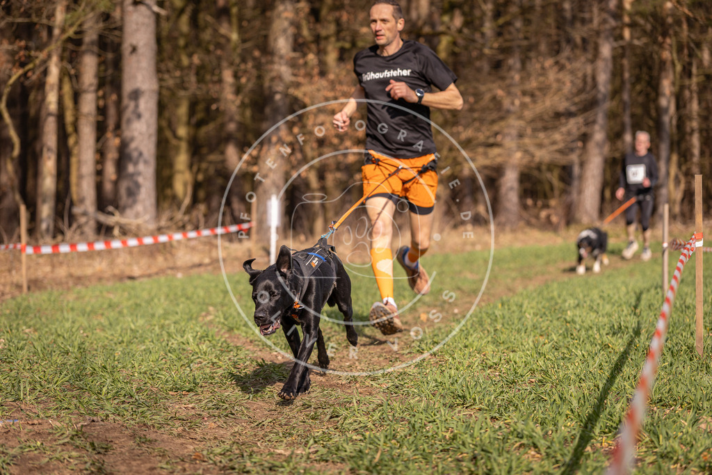 DV3A6322 | Hundefotografie, Tierfotograf, Pfotenfotografie, Fotoshooting Hund, Hunde Portrait, Hundesport, Hundeportraits, Heideshooting, Hunde, Sportfotograf, Hundefotograf, Turnierhundsport, THS,  - Realisiert mit Pictrs.com