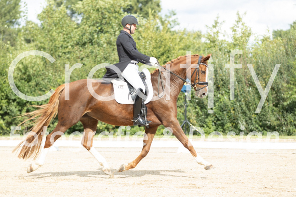 IMG_6379 | Creatify Fotografie