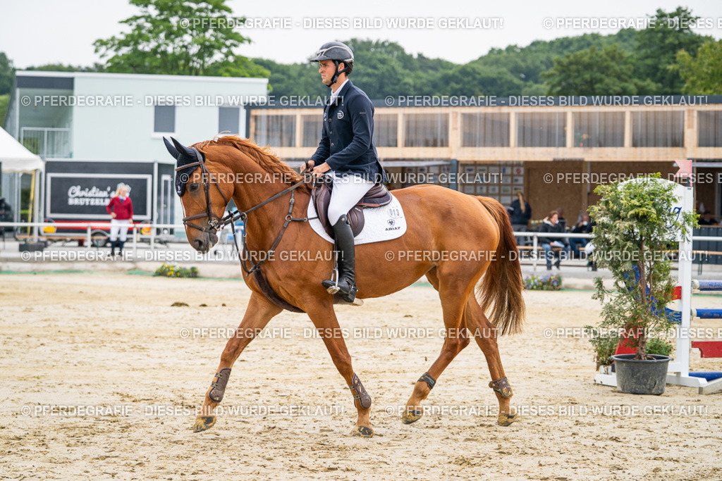 DSC09468 | Pferdegrafie