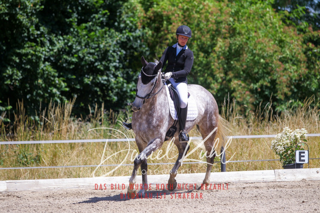 DKP46296 | Turniersportfotografie; Pferdefotografie; Dressurfotografie