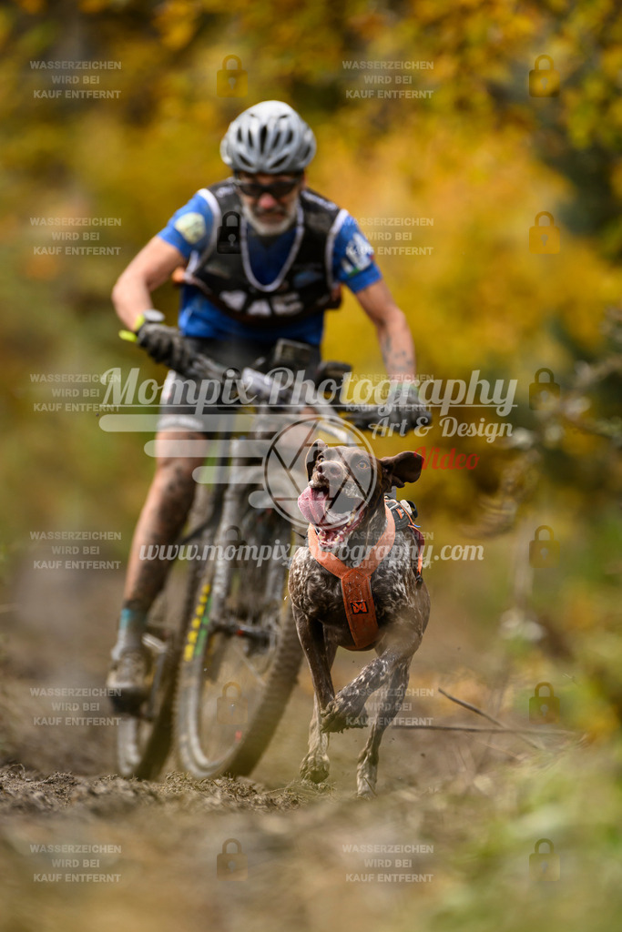 MompixPhotography_ICF_WC_2024_SA_Bike_-158 | PayLife