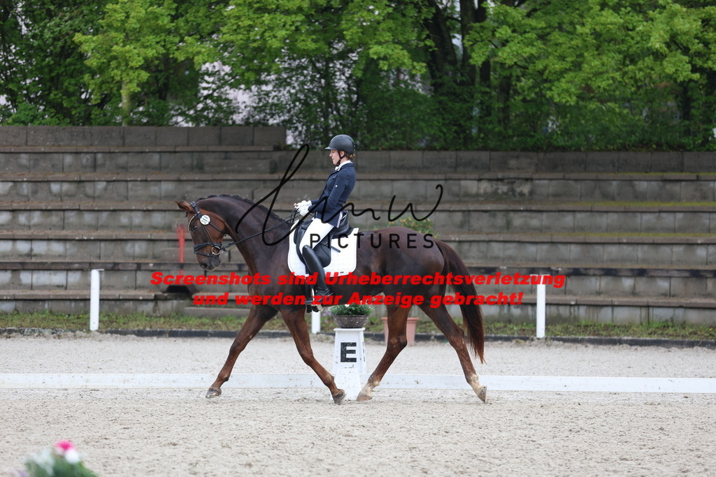 A40A8740 | lmwpictures - Realisiert mit Pictrs.com