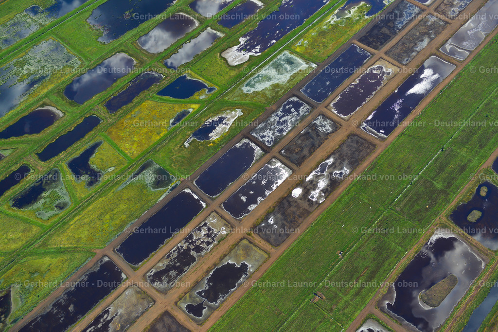 3620994 | Stapeler Moor