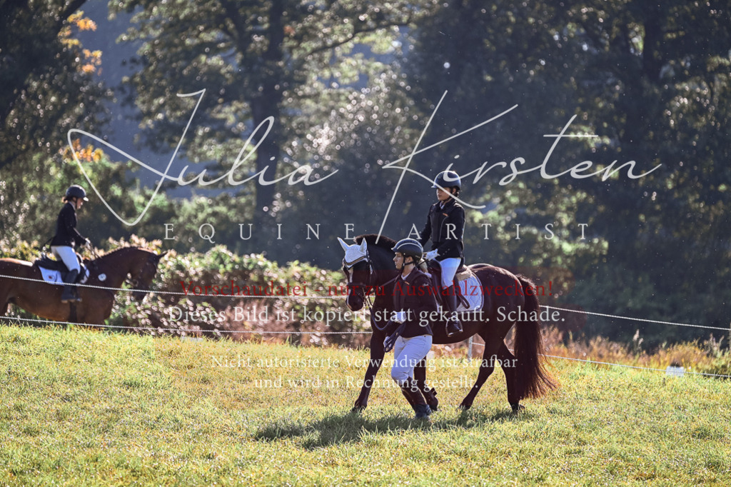 DSC_0371 | Pferde- und Turnierfotografie in Westsachsen. Pferdeportraits, Auftragszeichnungen und intuitive Kunst.