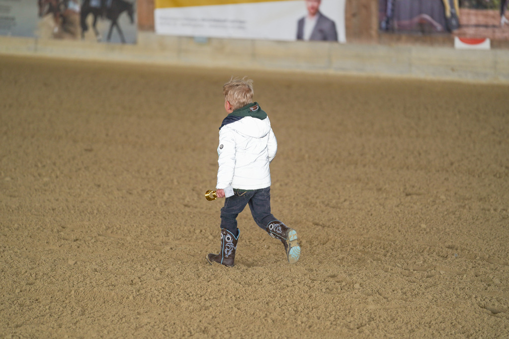 DSC01523 | Pferdegrafie