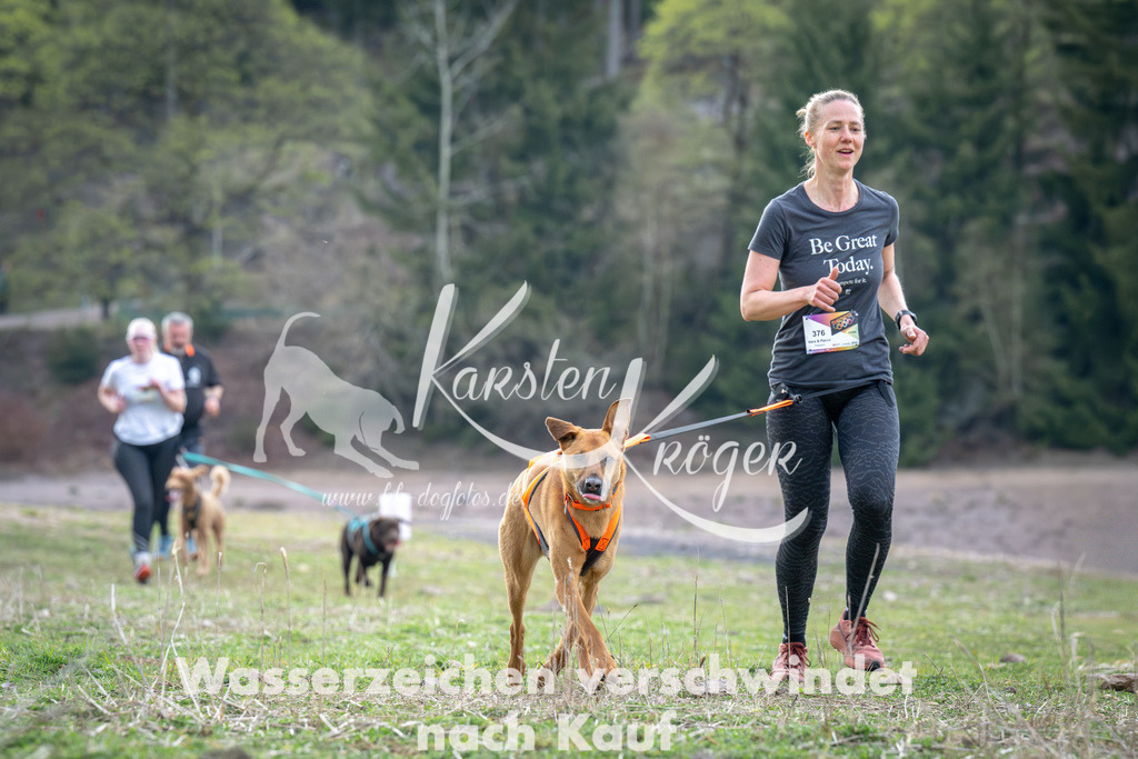 1819_ZZ95920 | kk-dogfotos