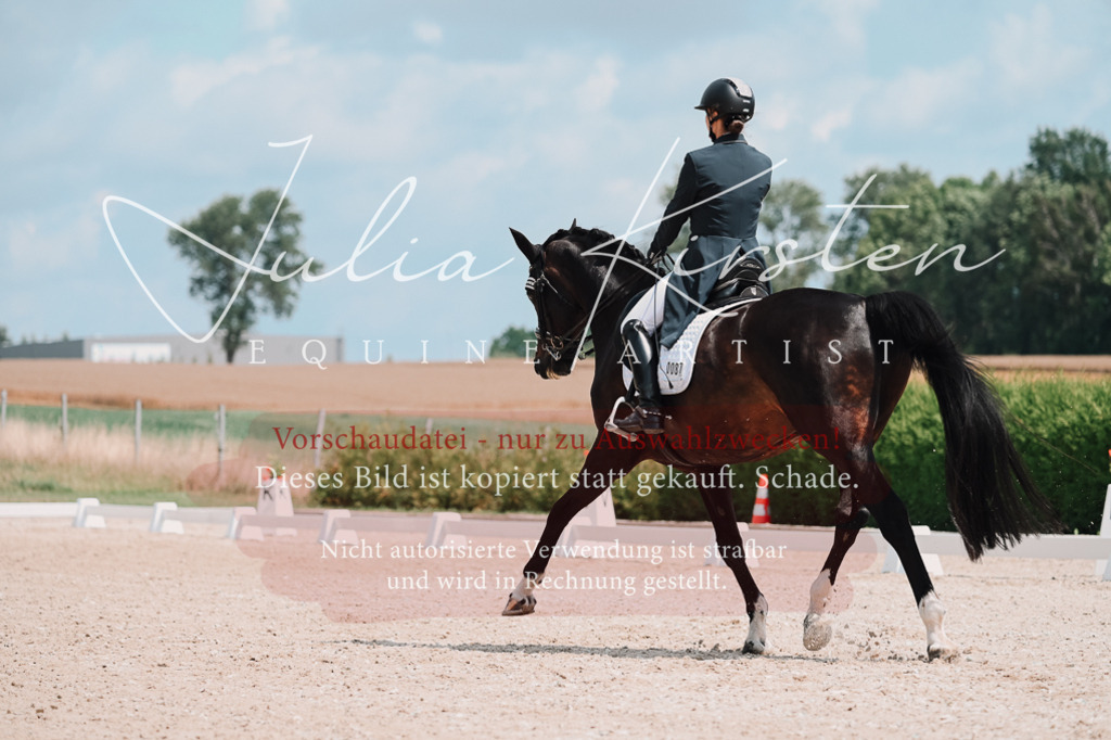 DSC_4049 | Pferde- und Turnierfotografie in Westsachsen. Pferdeportraits, Auftragszeichnungen und intuitive Kunst.