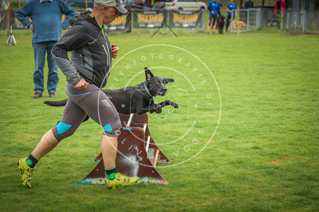 Pfotenfotografie_0L8A9551 | Hundefotografie, Tierfotograf, Pfotenfotografie, Fotoshooting Hund, Hunde Portrait, Hundesport, Hundeportraits, Heideshooting, Hunde, Sportfotograf, Hundefotograf, Turnierhundsport, THS,  - Realisiert mit Pictrs.com