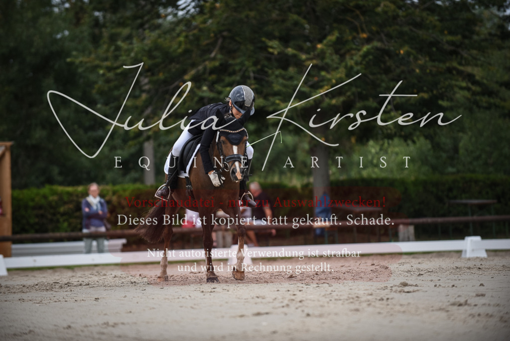 DSC_8177 | Pferde- und Turnierfotografie in Westsachsen. Pferdeportraits, Auftragszeichnungen und intuitive Kunst.